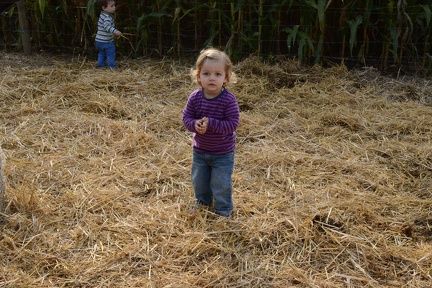 playing in the hay